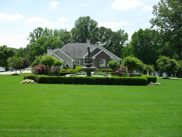 Lawn Care 2
